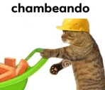 chambeando emote