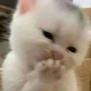 jiji emote