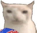 catMunch emote
