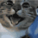 catHappy animated emote