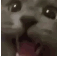 cataaa emote