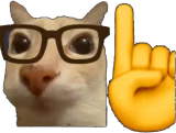 otagUmm emote