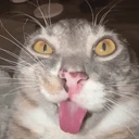 MaybeFreak emote