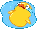 duckLost emote