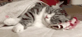 saturday emote