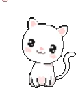 CatNomsCherryBlossom emote