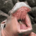 AAAA emoji