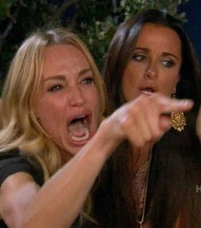woman_yelling_at_cat_meme emote