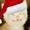 ChristmasCatEEEEE emote