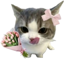 CatFlower emote