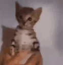 Hiccups emote