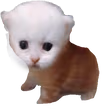 Rupert emote