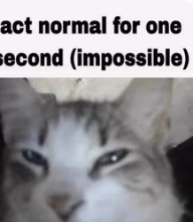 impossible emote