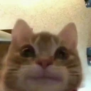 emm emote