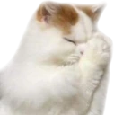 Pray emote