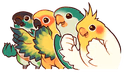 birbshappy emote