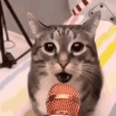 catSing emote