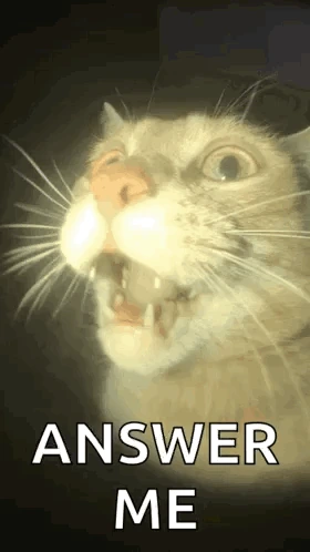 answer_me emote