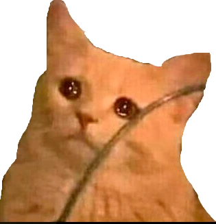 sadcat4 emote