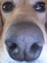 WAKEUP emote