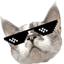 huchu_cool emote