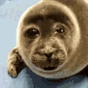 Hewasforcedtoplayleague emote