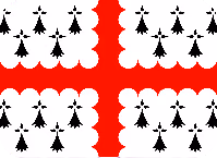vannetais_brittany emote