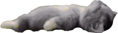 muerto emote