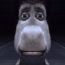 DAMN emote
