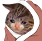 CE_CozySadBlanket emote