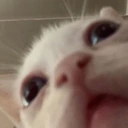 CE_whaaa emote