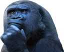 apeThink emote