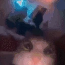 WTF emote