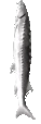 Joeler2 emote