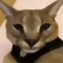 hecker emoji