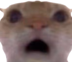 omg emote