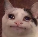 CE_SAD emote