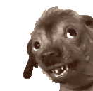 creatureLookUp