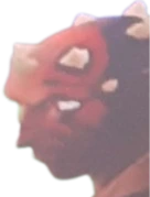 Darkmaul300p emote