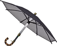 UndercoverBrella emote