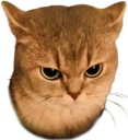 angycat emote