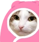 kiisu_cozy emote