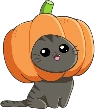 pumpkin_cat emote