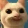 cat_WeirdSmile emote