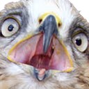 falconwtf emote