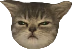 COP_Sulking_Cat emote