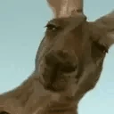 veryAussie emote