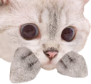 Nana_Concern emote