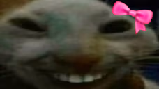 cutexdd emote