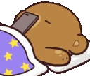 Orsetto emote